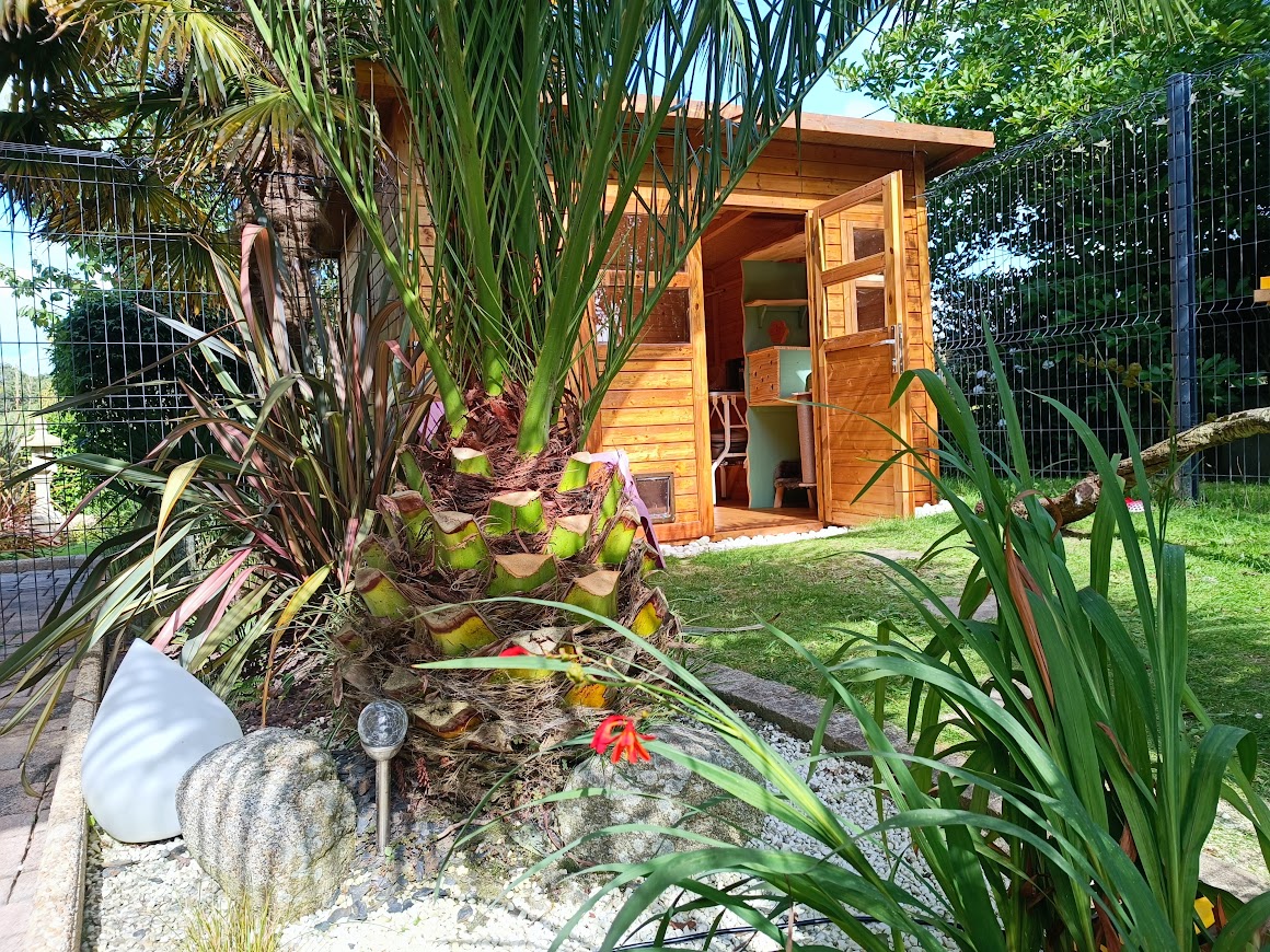 Chalet/parc aménagé extérieur (enclos sécurisé)